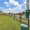 green dog park area